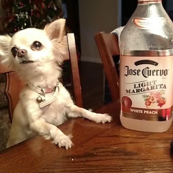 Meet your Posher, Lisa - Picture 3 of 7